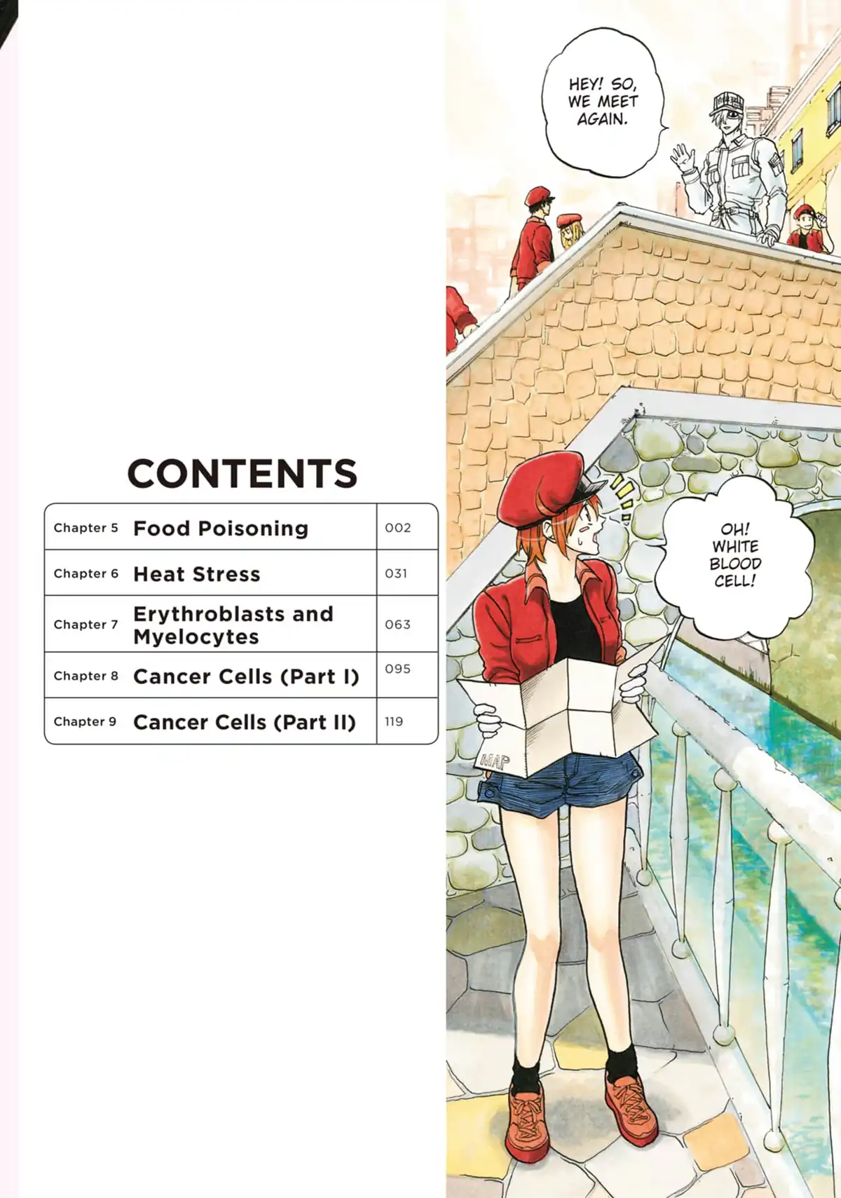 Cells at Work (Hataraku Saibou) Illegal 2 – Japanese Book Store