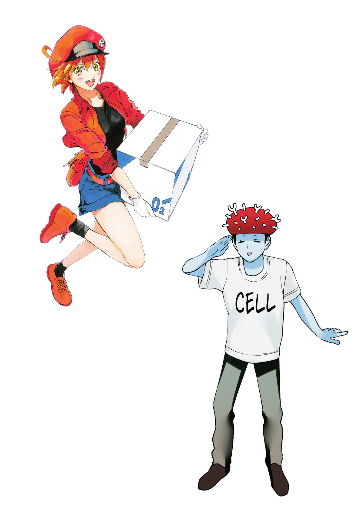 Cells at Work!, Volume 6