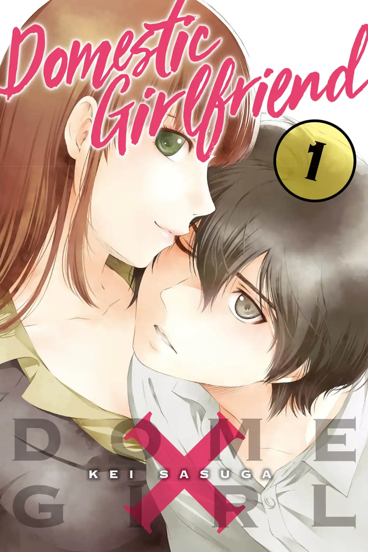 Domestic na Kanojo #6 - Vol. 6 (Issue)