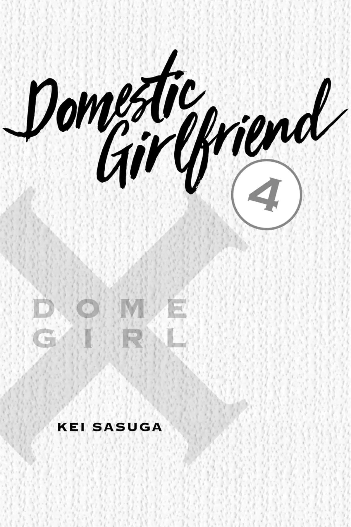 Domestic Girlfriend, Volume 4