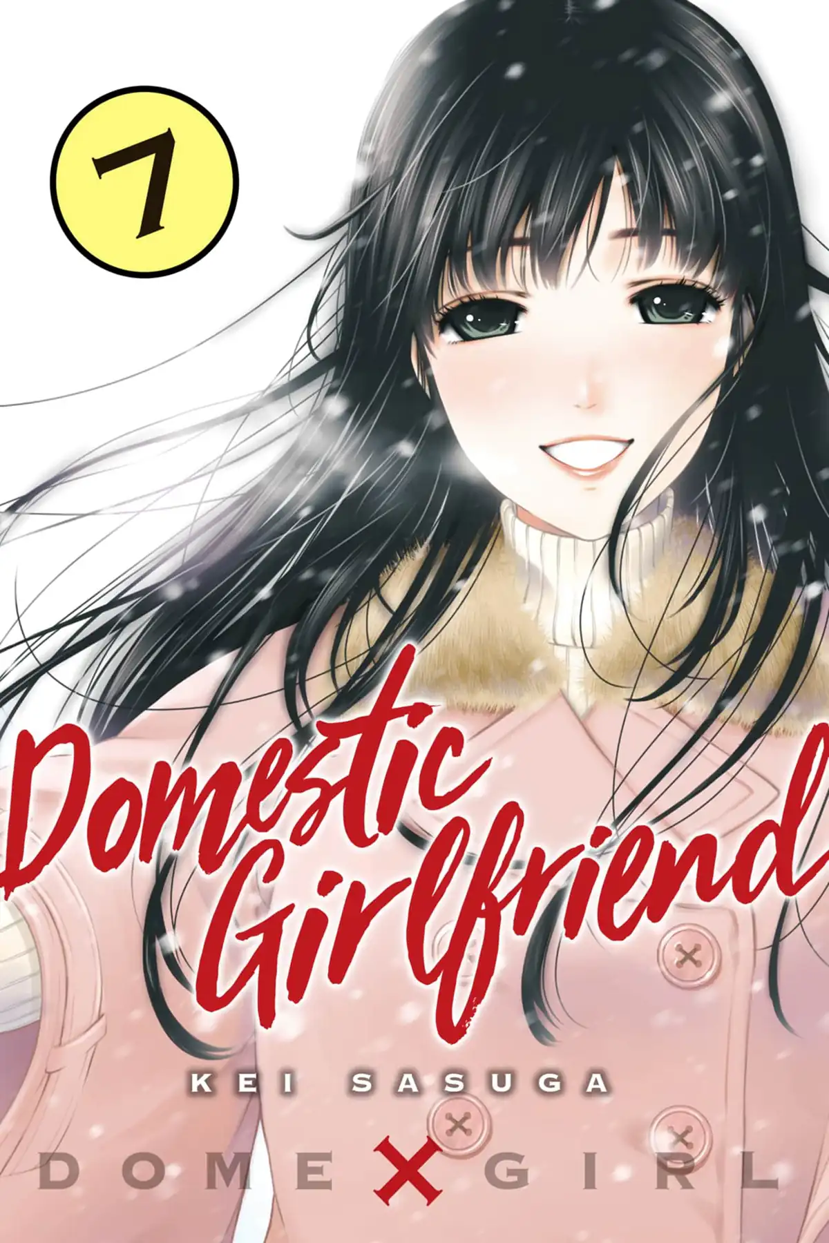 ドメスティックな彼女 27 [Domestic na Kanojo 27] by Kei Sasuga